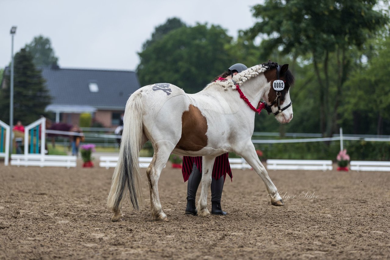 Bild 15 - Pony Akademie Turnier